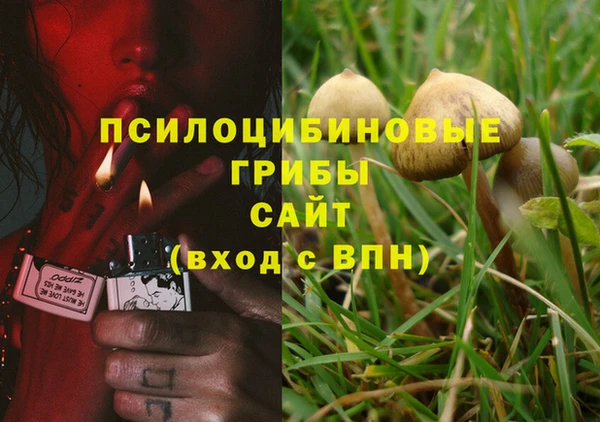 амф Горняк