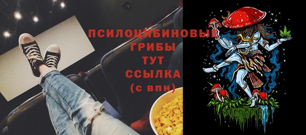кристаллы Белокуриха