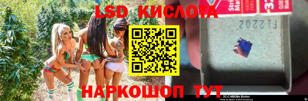 как найти закладки  Наркотические марки 1,5мг  Вход с VPN  Верхний Уфалей 