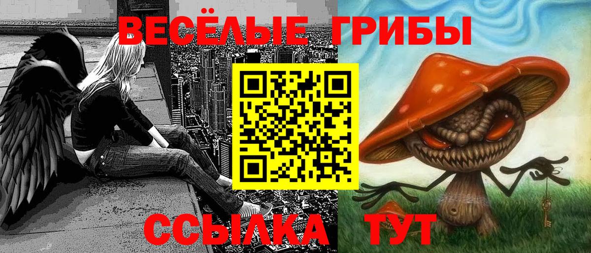 Галлюциногенные грибы мухоморы  хочу наркоту  Верхний Уфалей  Вход с VPN 