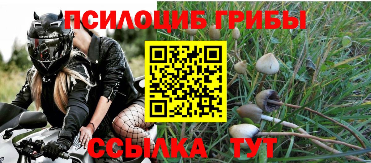 Галлюциногенные грибы мухоморы Верхний Уфалей
