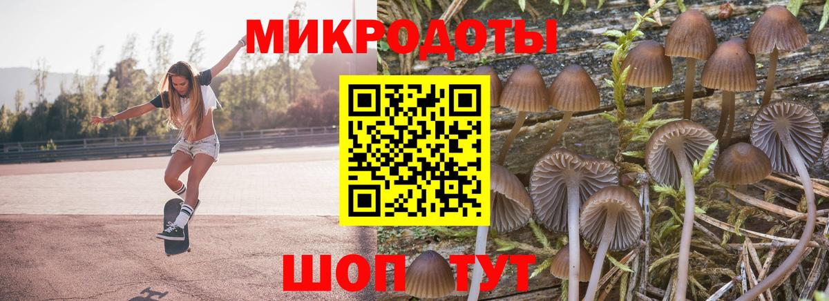 где можно купить наркотик  Верхний Уфалей  Псилоцибиновые грибы GOLDEN TEACHER 