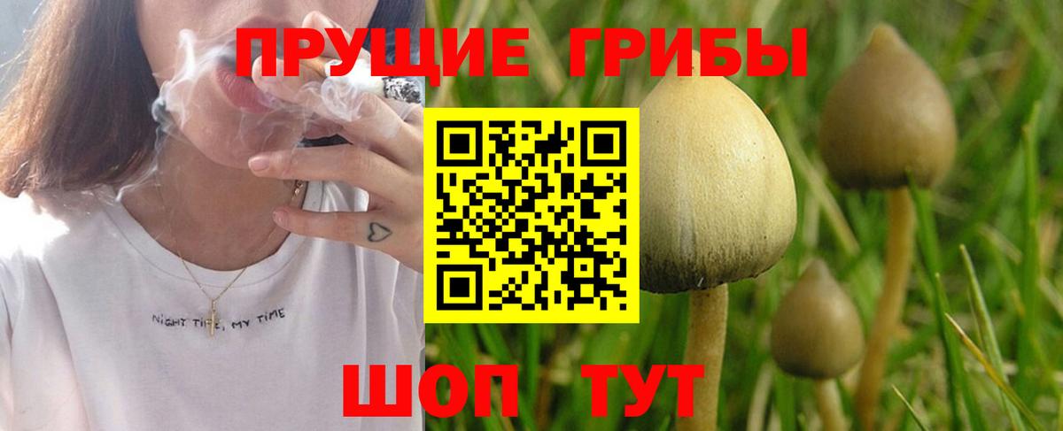МЕТАДОН Верхний Уфалей